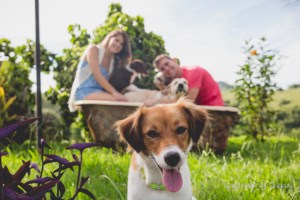 fotos divertidas para pre wedding ou save the date