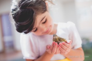 Hotel Serra Bonita, Delfim Moreira, ideal para casamento