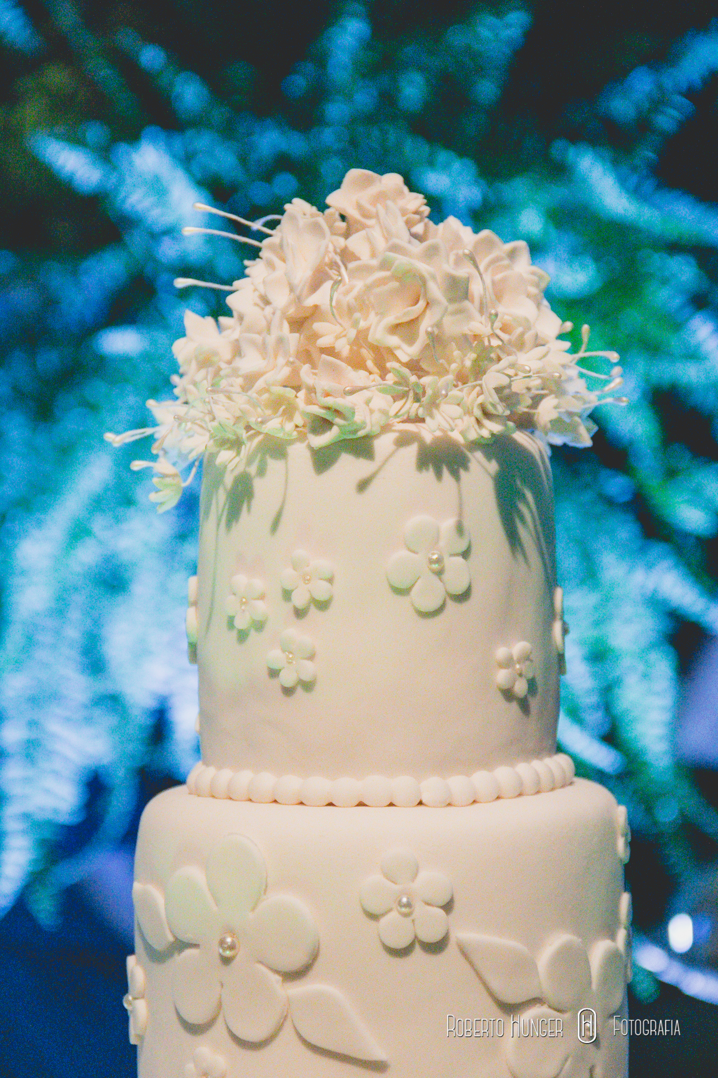 fotografia de casamento em varginha, fotografia de casamento em itajubá, fotografia de casamento em Alfenas, fotografia de casamento em pouso alegre, fotografia de casamento em monte verde