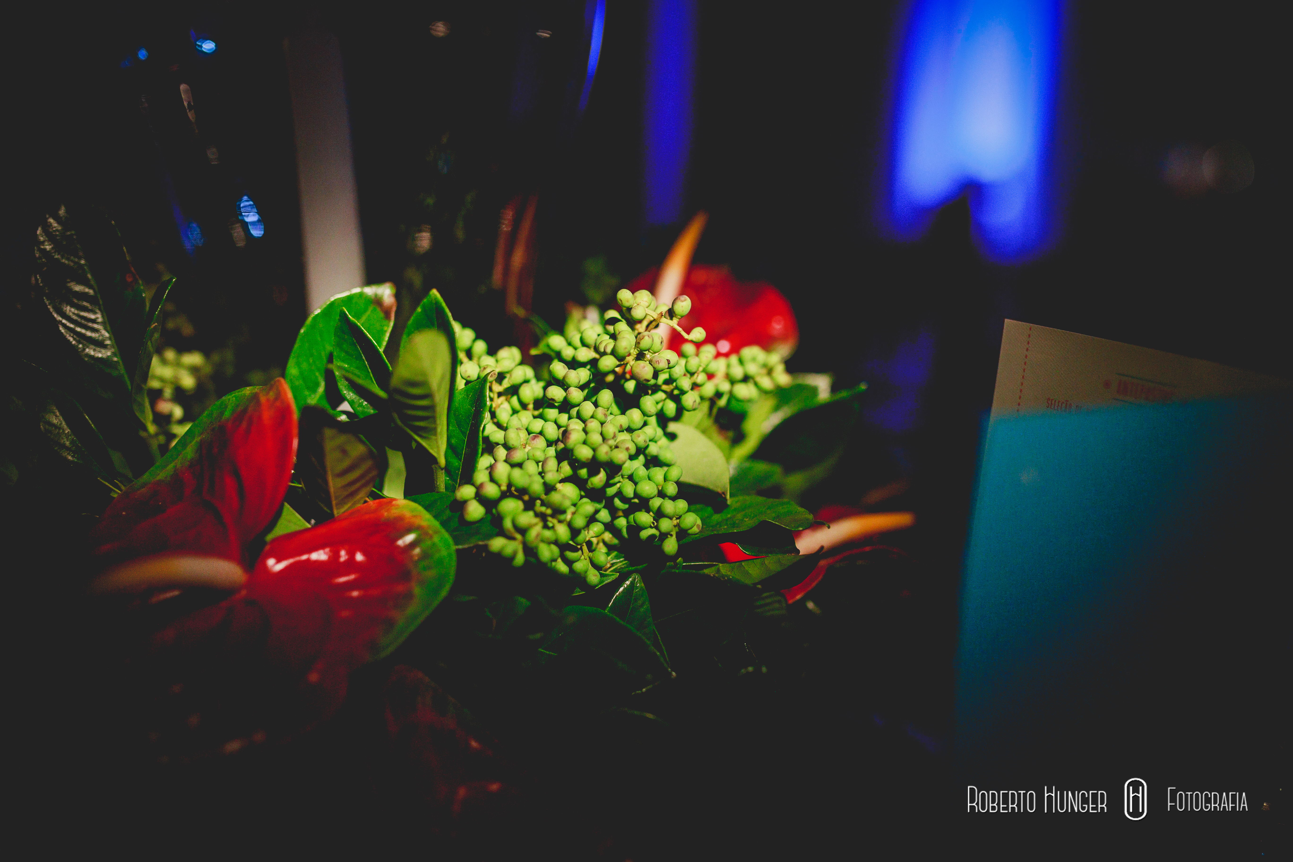 fotografia de casamento em itajubá e pouso alegre, casamentos em monte verde, fotógrafia de monte verde, fotos de casamento monte verde, fotografo orçamento e contato