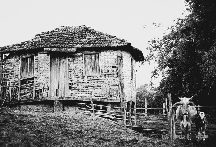 2665562522_769fd88983_b