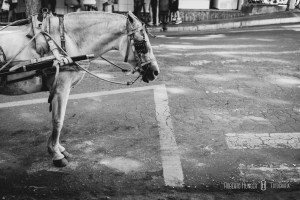 cursos de fotografia em pouso alegre, curso de fotografia itajubá, cursos de fotografia minas gerais