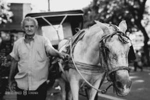 Curso de fotografia sobre composição fotografica