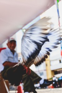 cursos de fotografia em pouso alegre, curso de fotografia itajubá, cursos de fotografia minas gerais
