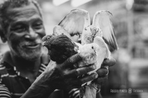 aulas de fotografia, cursos de fotografia profissional em minas gerais, itajubá, cambui, jacutinga, varginha , bragança, extrema, sul de minas., fotos centro de pouso alegre, fotografias da cidade de pouso alegre