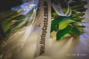 harley vix costa, arquiteto harley vix, casamentos posuo alegre e machado, decorador de casamentos, melhor decoração de casamentos de minas.