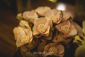 fotógrafos de casamento sul de minas gerais, fotografia de casamento em pouso alegre, fotoógrafo de casamento itajubá, itajubá fotografia de casamento, são lourenço fotografia de casamento, fotografia de casamento são bento do sapucaí, roberto hunger fotografia, monte verde mini wedding, casando em pouso alegre, espaço para casamentos em itapeva, camanducaia fotografia de casamento, bom repouso casamentos fotografia, heliodora e lambari fotografia de casamento