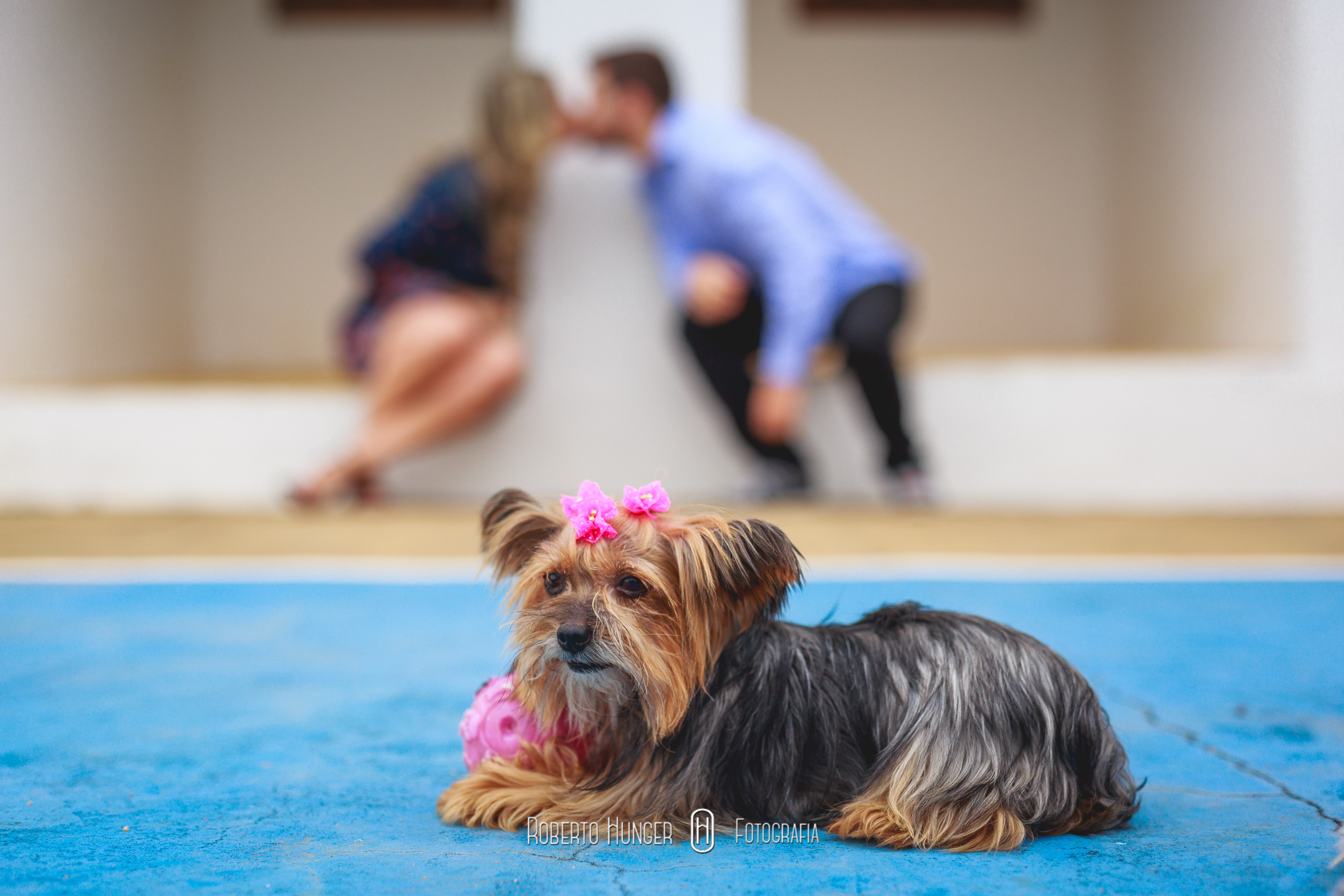 Conheça os melhores lugares para fotos externas em minas