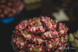 onde casar em congonhal, borda da mata fotografia de casamentos, onde-casar-em-cambui, onde-casar-em-itapeva, itapeva-fotografia-de-casamento, minas-gerais-fotógrafo-casamentos, pouso-alegre-fotografia-de-casamento, itajubá-fotografia-casamentos, alfenas-machado-varginha-fotografia-de-casamentos, monte-verde-casamento-no-campo, mini-wedding-minas-gerais, pousadas-casamentos-pouso-alegre, fotografia-casamentos-sul-de-minas-gerais, lambari-fotografo-de-casamentos, heliodora-fotografo-de casamentos