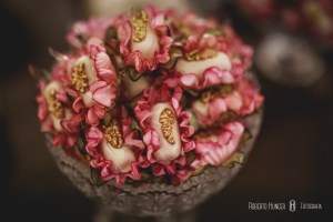 onde casar em congonhal, borda da mata fotografia de casamentos, onde-casar-em-cambui, onde-casar-em-itapeva, itapeva-fotografia-de-casamento, minas-gerais-fotógrafo-casamentos, pouso-alegre-fotografia-de-casamento, itajubá-fotografia-casamentos, alfenas-machado-varginha-fotografia-de-casamentos, monte-verde-casamento-no-campo, mini-wedding-minas-gerais, pousadas-casamentos-pouso-alegre, fotografia-casamentos-sul-de-minas-gerais, lambari-fotografo-de-casamentos, heliodora-fotografo-de casamentos