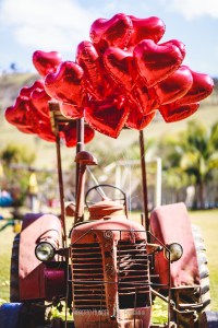 Casamentos em Monte Verde, Sul de Minas Gerais fotografia de casamento, pouso alegre fotógrafo, sul de minas onde casar, fotografia de casamento pouso alegre e região, cambui minas gerais casamentos, borda da mata fotografia de casamento, fotógrafo paulista que atua em minas, fotógrafo para casamento no campo, casando em monte verde, hotel pousada para casamento em minas gerais, varginha casamentos, alfenas e machado fotografia de casamento, álbuns de casamentos itajubá e paraisópoles, brasópolis casamentos, fotógrafos de casamento sul de minas gerais, fotografia de casamento em pouso alegre, fotoógrafo de casamento itajubá, itajubá fotografia de casamento, são lourenço fotografia de casamento, fotografia de casamento são bento do sapucaí, roberto hunger fotografia, monte verde mini wedding, casando em pouso alegre, espaço para casamentos em itapeva, camanducaia fotografia de casamento, bom repouso casamentos fotografia, heliodora e lambari fotografia de casamento
