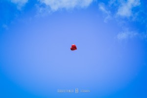 onde casar em congonhal, borda da mata fotografia de casamentos, onde-casar-em-cambui, onde-casar-em-itapeva, itapeva-fotografia-de-casamento, minas-gerais-fotógrafo-casamentos, pouso-alegre-fotografia-de-casamento, itajubá-fotografia-casamentos, alfenas-machado-varginha-fotografia-de-casamentos, monte-verde-casamento-no-campo, mini-wedding-minas-gerais, pousadas-casamentos-pouso-alegre, fotografia-casamentos-sul-de-minas-gerais, lambari-fotografo-de-casamentos, heliodora-fotografo-de casamentos