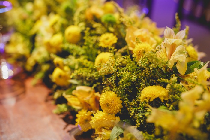 15 anos roberto hunger proposta (11)