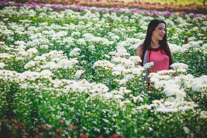 15 anos roberto hunger proposta (17)