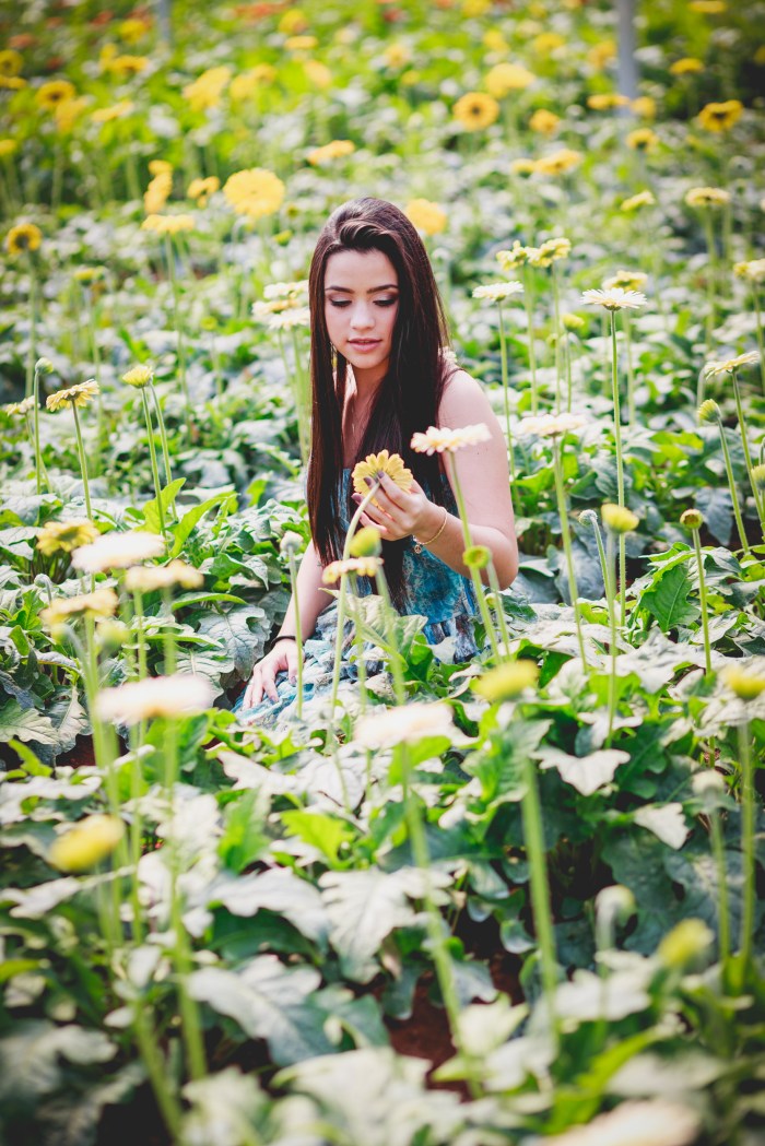 15 anos roberto hunger proposta (21)