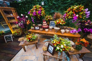 Fotos noivas em poços de caldas e região, noivas itajubá, noivas pouso alegre, noivas em cambui mg, minas gerais casamentos, noivas 2018, 2018 casamentos, onde casar em minas gerais, onde casar em poços de caldas, onde casar em pouso alegre, casamentos itajubá