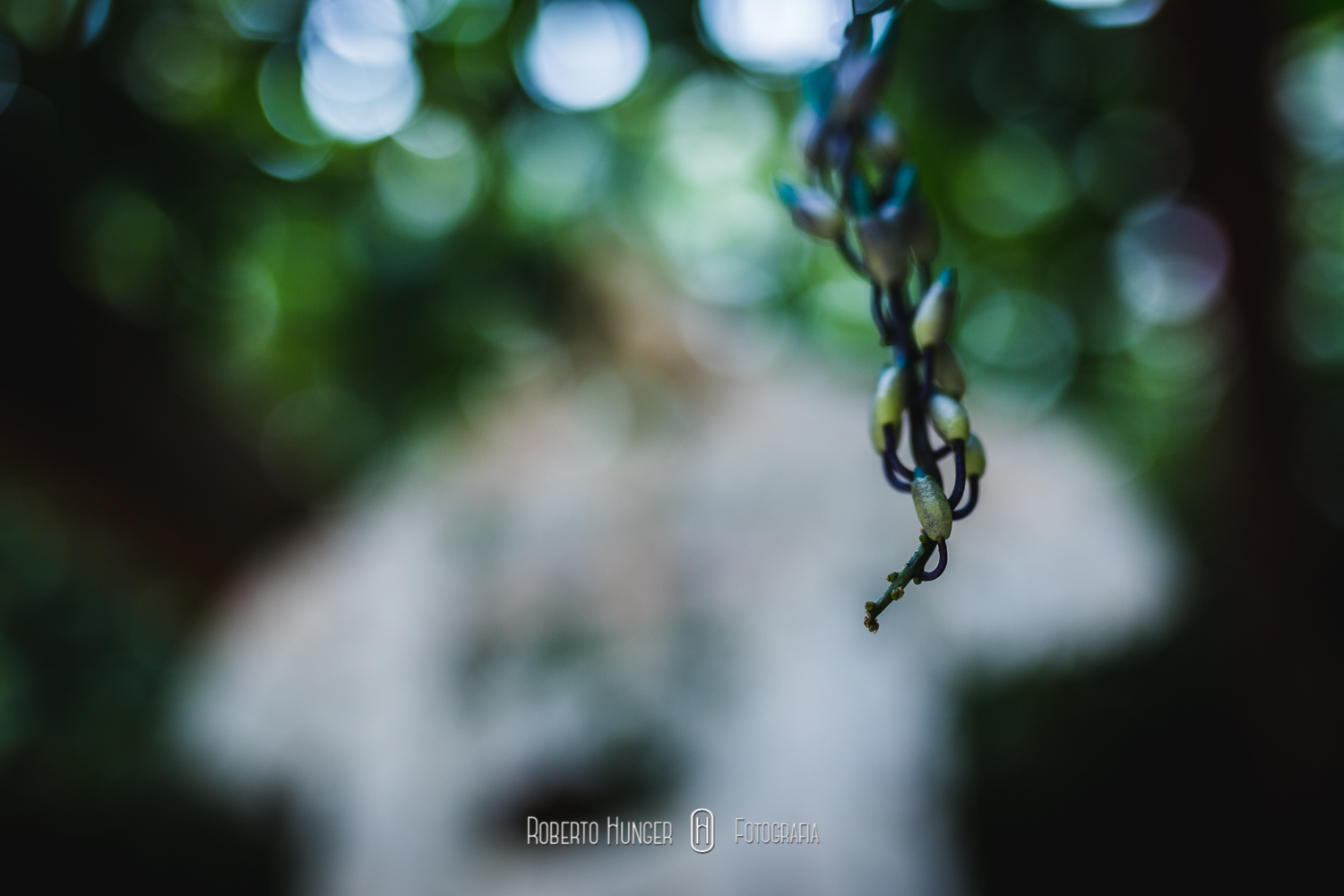 Imagens: Roberto Hunger Fotografia e equipe; Vídeo: Filmagem: Neon Filmes (Itamar Filho); Cerimonial: Mércia Ministro assessoria e cerimonial; Banda: Patronagens; Dj e sonorização: luizinho; Decoração: Helena Gurgel Arte Floral; Doces e bolo: Soraya Mouallem; Local do evento: Buffet Vienna (Pouso Alegre)