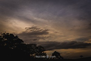 Imagens: Roberto Hunger Fotografia e equipe; Vídeo: Filmagem: Neon Filmes (Itamar Filho); Cerimonial: Mércia Ministro assessoria e cerimonial; Banda: Patronagens; Dj e sonorização: luizinho; Decoração: Helena Gurgel Arte Floral; Doces e bolo: Soraya Mouallem; Local do evento: Buffet Vienna (Pouso Alegre)