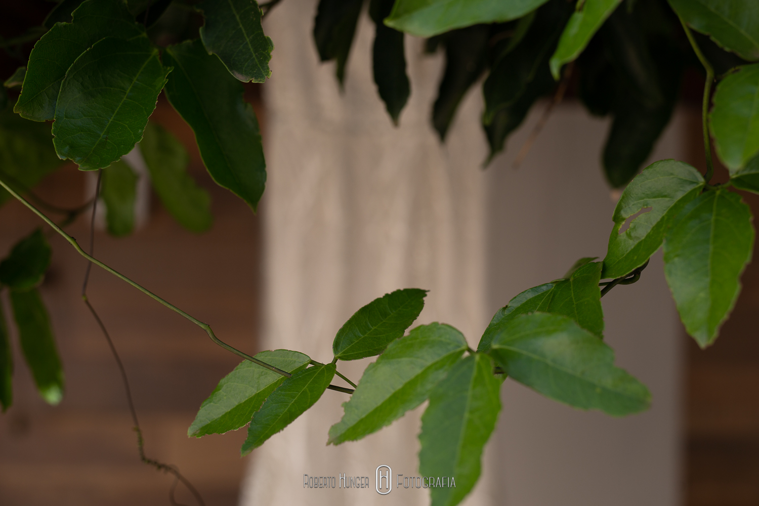 #noivas2019, #noivas2020, #machado , #camanducaia , #bordadamata , #paraisopolis , #santaritadosapucai , #extremamg , #jacutinga, #andradas, #santaritadosapucai, #brasopolis, #monteverde , #poçosdecaldas , #caldas , #itajubá , #cambui , #cambuimg , #pousoalegre , #felizesparasempre , #pirangucu , #itajuba