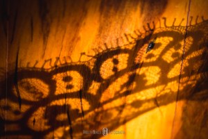 Roberto Hunger Fotografia. Onde casar em minas gerais? Fotografia de casamento sul de minas, pouso alegre e itajubá fotografia, borda da mata, lambari, santa rita do sapucai e poços de caldas fotos de casamento. Fotógrafo de casamento pouso alegre