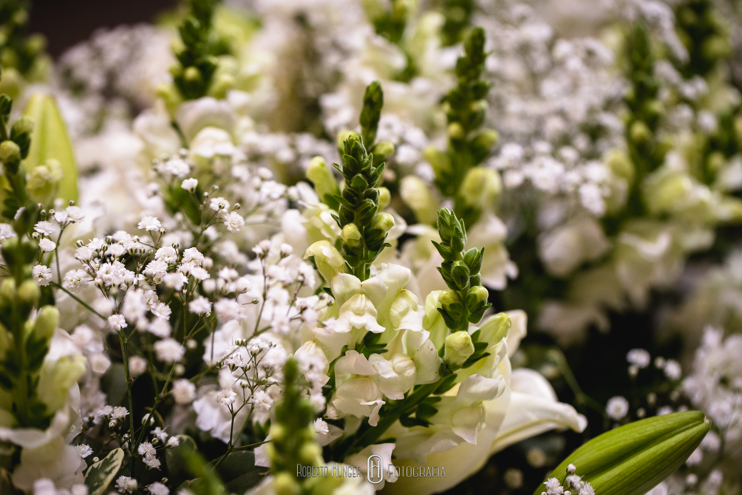 Fotografia de casamento em minas gerais, cidade de Pouso Alegre e itajubá fotogógrafo. Fotos de casamento São João del rei e tiradentes. Fotografia de casamento Monte Verde, pouso Alegre, itajubá e Cambui minas gerais.