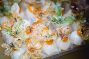 Fotografia de casamento itajubá e pouso alegre. Caldas e Poços de caldas fotógrafo de eventos, casamento fotos trÊs pontas e alfenas, lambari e monte verde fotografia de casamento, noivas sul de minas, camanducaia e extrema mg fotógrafo