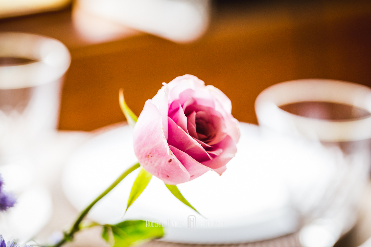 Espaço: Hotel Serra Bonita Assessoria: Ana Faria Celebrantes: Pedro Serra e Camille Amos Lardan Decor: Menu Decor Gastronomia: Buffet Expresso Gourmet Forografia: Roberto Hunger Fotografia e equipe; Vídeo: Make a Moment Beleza: Studio Glaucia Mafra Vestido: Rime Arodaky Doces Finos: Elisangela Doces Finos Música da Cerimônia: Carolina Hofmeister e André Hofmeister Música da Festa: GT Audio Sonorização | Samba Marcio Torres e Amigos | Banda Vacamarela