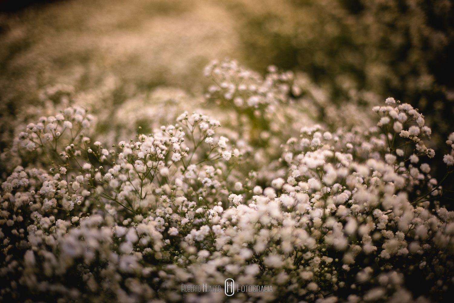 Fotografia de casamento em minas gerais, cidade de Pouso Alegre e itajubá fotogógrafo. Fotos de casamento São João del rei e tiradentes. Fotografia de casamento Monte Verde, pouso Alegre, itajubá e Cambui minas gerais.