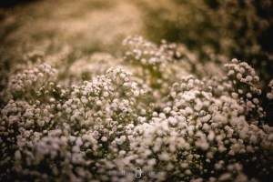 Fotografia de casamento em minas gerais, cidade de Pouso Alegre e itajubá fotogógrafo. Fotos de casamento São João del rei e tiradentes. Fotografia de casamento Monte Verde, pouso Alegre, itajubá e Cambui minas gerais.