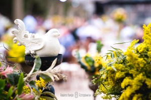 Fotógrafo de casamento em cambui mg, fotografia pouso alegre, itajubá fotógrafo de casamento, minas gerais fotógrafo, onde casar em pouso alegre? , álbuns de casamento borda da mata, pouso alegre fotógrafo, fotógrafo itajubá