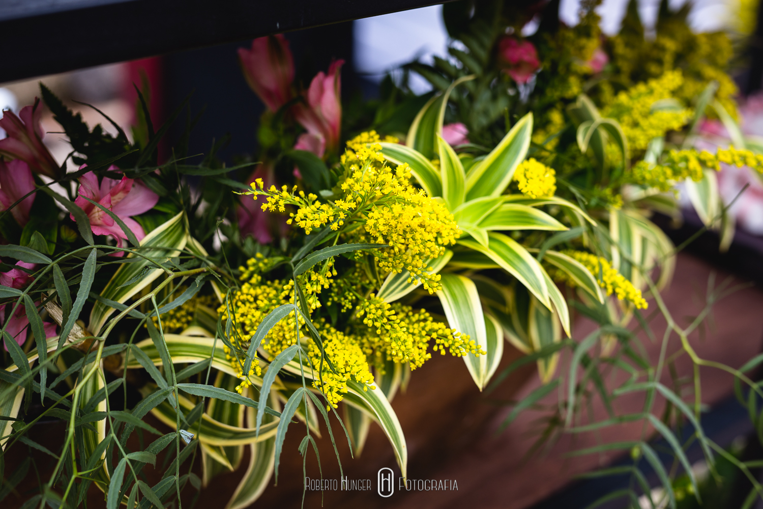 Casamentos em Monte Verde, Sul de Minas Gerais fotografia de casamento, pouso alegre fotógrafo, sul de minas onde casar, fotografia de casamento pouso alegre e região, cambui minas gerais casamentos, borda da mata fotografia de casamento, fotógrafo paulista que atua em minas, fotógrafo para casamento no campo, casando em monte verde, hotel pousada para casamento em minas gerais, varginha casamentos, alfenas e machado fotografia de casamento, álbuns de casamentos itajubá e paraisópoles, brasópolis casamentos