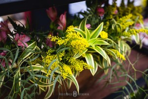 Casamentos em Monte Verde, Sul de Minas Gerais fotografia de casamento, pouso alegre fotógrafo, sul de minas onde casar, fotografia de casamento pouso alegre e região, cambui minas gerais casamentos, borda da mata fotografia de casamento, fotógrafo paulista que atua em minas, fotógrafo para casamento no campo, casando em monte verde, hotel pousada para casamento em minas gerais, varginha casamentos, alfenas e machado fotografia de casamento, álbuns de casamentos itajubá e paraisópoles, brasópolis casamentos