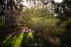Fotógrafo de casamento em cambui mg, fotografia pouso alegre, itajubá fotógrafo de casamento, minas gerais fotógrafo, onde casar em pouso alegre? , álbuns de casamento borda da mata, pouso alegre fotógrafo, fotógrafo itajubá