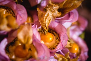 #noivas2019, #noivas2020, #machado , #camanducaia , #bordadamata , #paraisopolis , #santaritadosapucai , #extremamg , #jacutinga, #andradas, #santaritadosapucai, #brasopolis, #monteverde , #poçosdecaldas , #caldas , #itajubá , #cambui , #cambuimg , #pousoalegre , #felizesparasempre , #pirangucu , #itajuba @luceliacerimonial, @rodrigoaninhadecoradores , @karengrimello, Pousada Cambuhy​ @pousadacambuhy