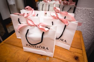 Casamentos em Monte Verde, Sul de Minas Gerais fotografia de casamento, pouso alegre fotógrafo, sul de minas onde casar, fotografia de casamento pouso alegre e região, cambui minas gerais casamentos, borda da mata fotografia de casamento, fotógrafo paulista que atua em minas, fotógrafo para casamento no campo, casando em monte verde, hotel pousada para casamento em minas gerais, varginha casamentos, alfenas e machado fotografia de casamento, álbuns de casamentos itajubá e paraisópoles, brasópolis casamentos