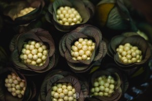 #noivas2019, #noivas2020, #machado , #camanducaia , #bordadamata , #paraisopolis , #santaritadosapucai , #extremamg , #jacutinga, #andradas, #santaritadosapucai, #brasopolis, #monteverde , #poçosdecaldas , #caldas , #itajubá , #cambui , #cambuimg , #pousoalegre , #felizesparasempre , #pirangucu , #itajuba, @rodrigoaninhadecoradores ,, Pousada Cambuhy @pousadacambuhy