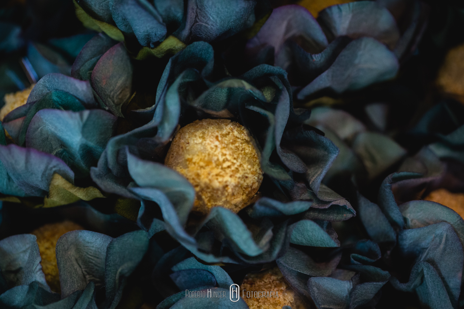 #noivas2019, #noivas2020, #machado , #camanducaia , #bordadamata , #paraisopolis , #santaritadosapucai , #extremamg , #jacutinga, #andradas, #santaritadosapucai, #brasopolis, #monteverde , #poçosdecaldas , #caldas , #itajubá , #cambui , #cambuimg , #pousoalegre , #felizesparasempre , #pirangucu , #itajuba, @rodrigoaninhadecoradores ,, Pousada Cambuhy​ @pousadacambuhy