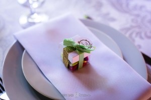 Fotografia: Roberto Hunger e Equipe (Cau Braga); Cerimonialista - Vanessa Araújo; Make noiva: EMME- centro de Beleza (Megue Costa); Buffet e recepção/festa- Pousada Cambhuy; Decoração - Aninha Rodrigo Decoradores; Banda - Moqueca Grove; Som / Dj:- Marcelo Fagundes; Doces - Néia Rodrigues; Forminhas : Ana Lúcia; Bem Casado: Maria Cristina Flor de Laranjeira.