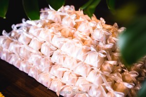 Fotografia: Roberto Hunger e Equipe (Cau Braga); Cerimonialista - Vanessa Araújo; Make noiva: EMME- centro de Beleza (Megue Costa); Buffet e recepção/festa- Pousada Cambhuy; Decoração - Aninha Rodrigo Decoradores; Banda - Moqueca Grove; Som / Dj:- Marcelo Fagundes; Doces - Néia Rodrigues; Forminhas : Ana Lúcia; Bem Casado: Maria Cristina Flor de Laranjeira.