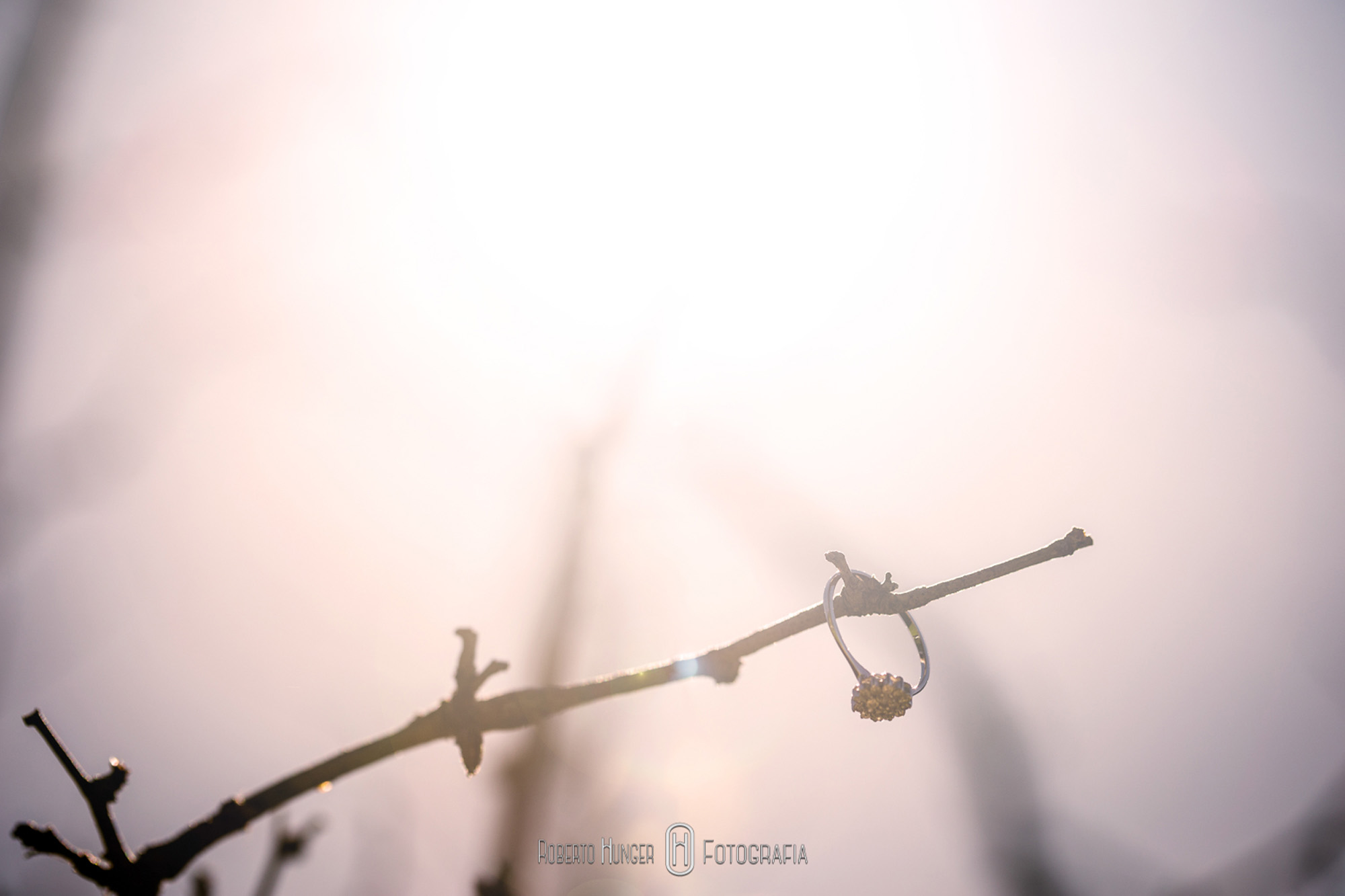 Casamento nas montanhas em Delfim Moreira hotel Serra Bonita, Fotógrafo de casamento em ouro fino e jacutinga, santa rita do sapucai fotografia de 15 anos, fotógrafo pouso alegre e itajubá, lambari e trÊs pontas fotógrafo, Onde casar em Pouso Alegre?, casamento-em-itajubá-minas-gerais, fotografria-de-casamento-itajubá, pouso-alegre-fotos-casamentos, noivas-itajubá, fotógrafo-de-casamentos-pouso-alegre