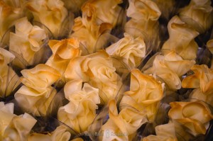 decoração de casamento rústico, casamento rústico nas montanhas, Hotel Serra Bonita, casamento nas montanhas, Minas gerais sul de Minas, Delfim Moreira noivas, onde casar em minas gerais?, casamento-em-itajubá-minas-gerais, fotografria-de-casamento-itajubá, pouso-alegre-fotos-casamentos, noivas-itajubá, fotógrafo-de-casamentos-pouso-alegre,