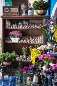 Decoração de casamento, Fazenda e Haras São Bento, decoração de casamento no campo, casamento decorado com flores, decoração de luxo para casamento, casamento de luxo em minas gerais, onde casar em bragança paulista,