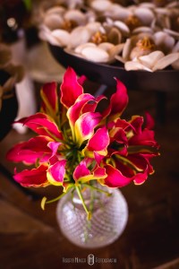 Decoração de casamento, Fazenda e Haras São Bento, decoração de casamento no campo, casamento decorado com flores, decoração de luxo para casamento, casamento de luxo em minas gerais, onde casar em bragança paulista,