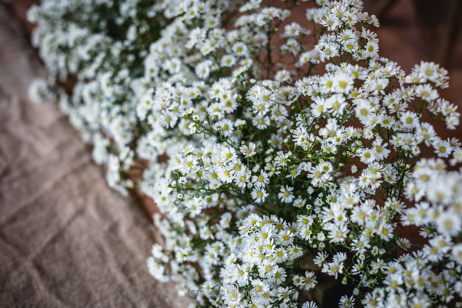 Casamento nas montanhas em Delfim Moreira hotel Serra Bonita, Fotógrafo de casamento em ouro fino e jacutinga, santa rita do sapucai fotografia de 15 anos, fotógrafo pouso alegre e itajubá, lambari e trÊs pontas fotógrafo, Onde casar em Pouso Alegre?, casamento-em-itajubá-minas-gerais, fotografria-de-casamento-itajubá, pouso-alegre-fotos-casamentos, noivas-itajubá, fotógrafo-de-casamentos-pouso-alegre