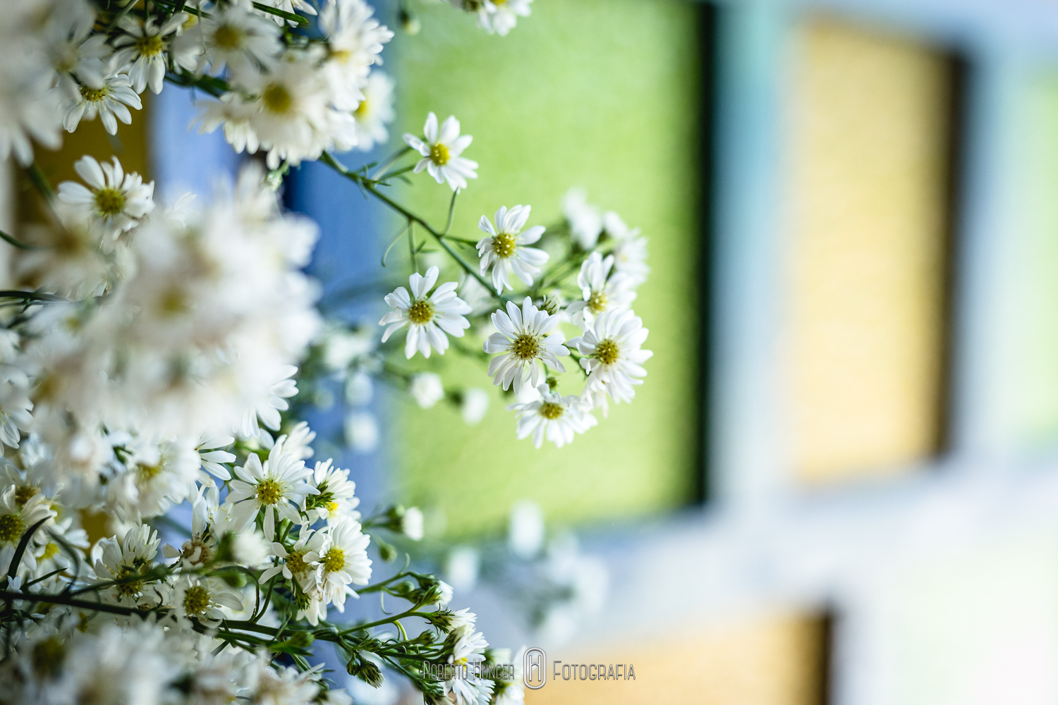 Casamento nas montanhas em Delfim Moreira hotel Serra Bonita, Fotógrafo de casamento em ouro fino e jacutinga, santa rita do sapucai fotografia de 15 anos, fotógrafo pouso alegre e itajubá, lambari e trÊs pontas fotógrafo, Onde casar em Pouso Alegre?, casamento-em-itajubá-minas-gerais, fotografria-de-casamento-itajubá, pouso-alegre-fotos-casamentos, noivas-itajubá, fotógrafo-de-casamentos-pouso-alegre