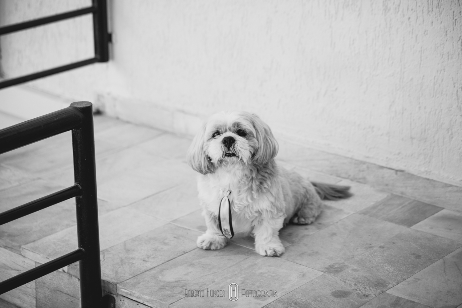 fotografia de casamento colégio são josé em pouso alegre, capela são josé em pouso alegre, fotógrafo de casamento em pouso alegre, minas gerais fotógrafo, fotos de casamento em pouso alegre, fotógrafo de casamentos e eventos na cidade pouso alegre, vestidos de casamento pouso alegre, onde casar em pouso alegre?