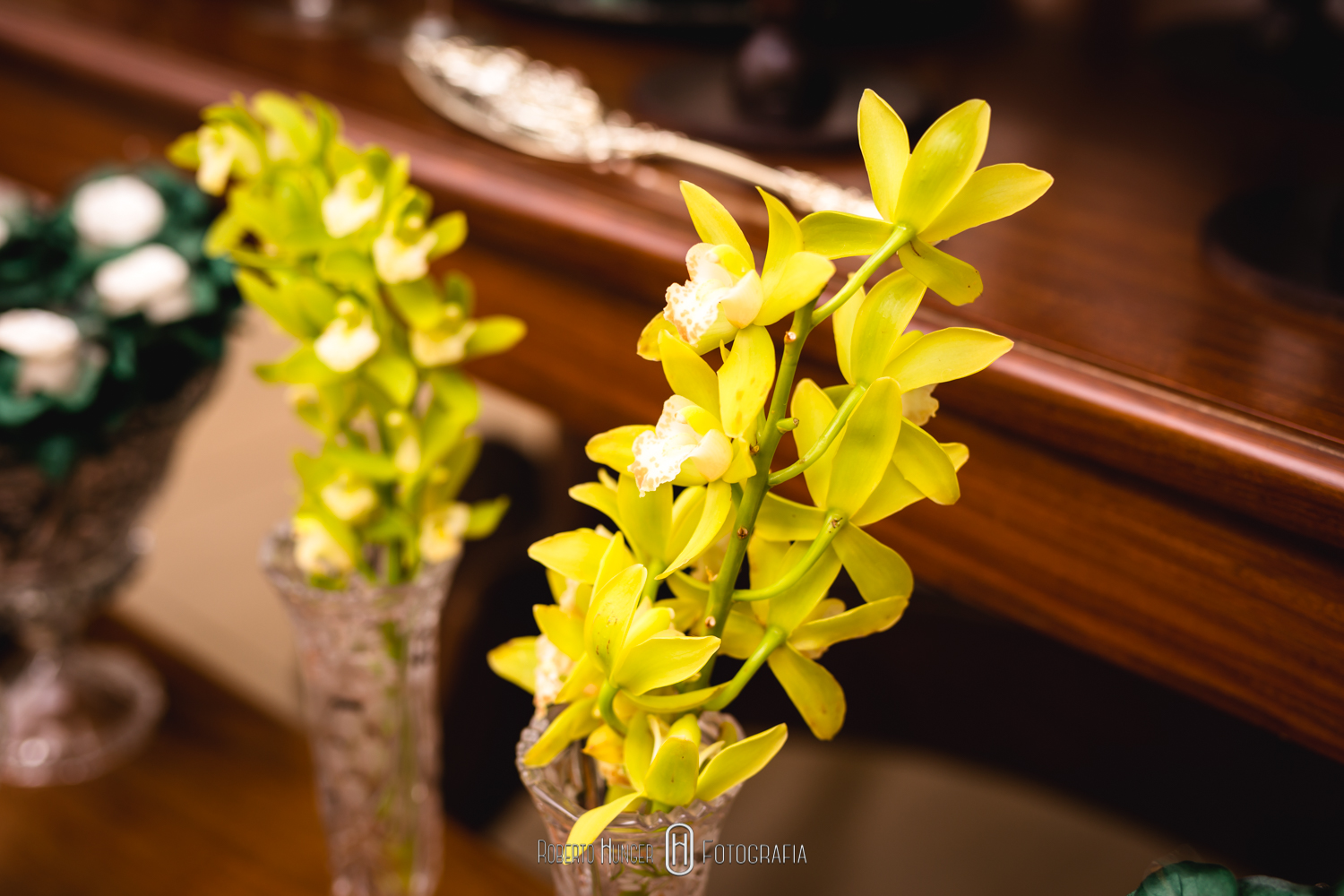 festa de casamento em casa, casamento dentro de casa. Casando em casa, decoração de casamento para cerimônias em casa.