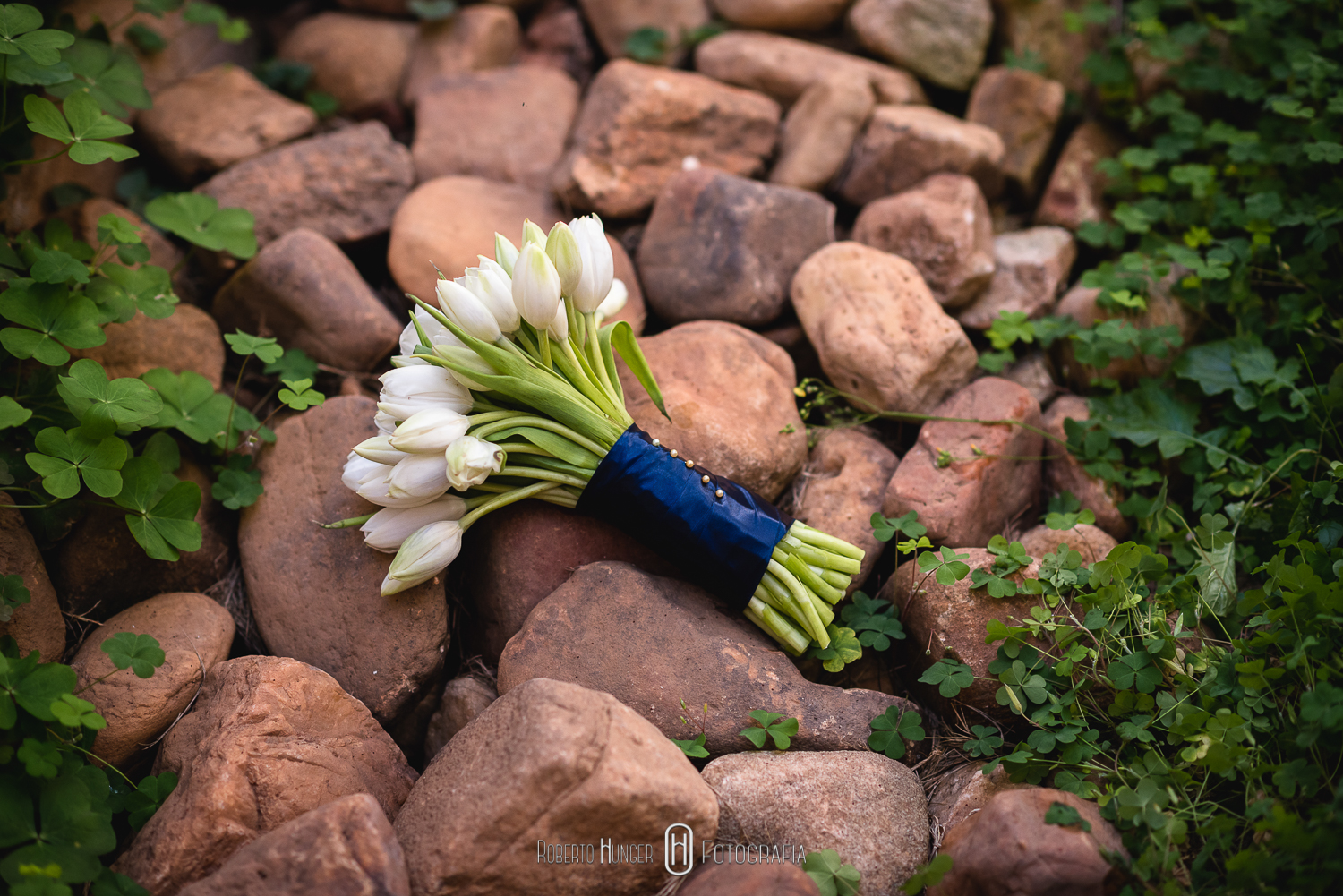 Como organizar um elopement wedding nas montanhas, onde casar no estilo elopement wedding, o que é elopement wedding.