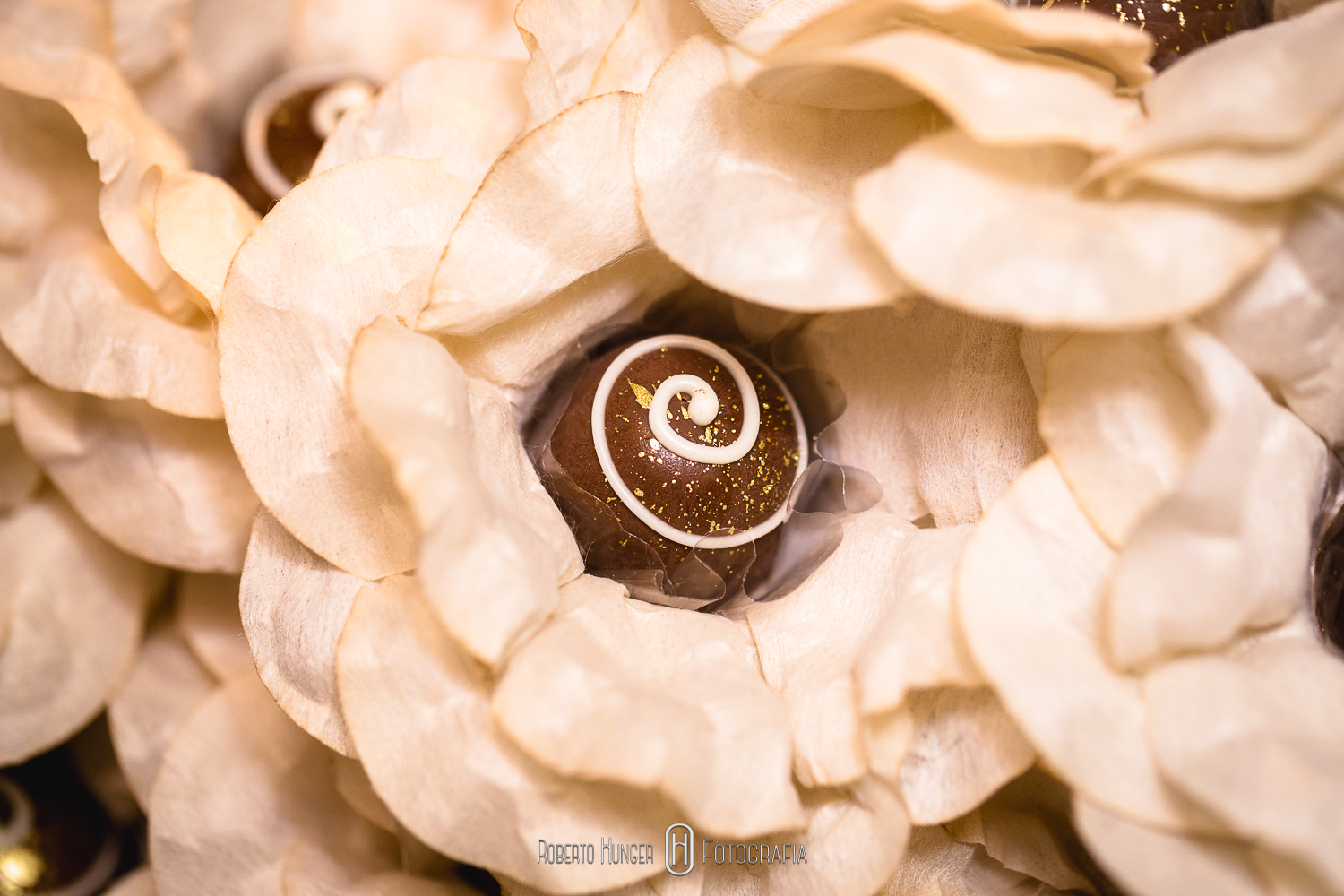 Fotografia: Roberto Hunger fotografia; – Espaço e Buffet: Pousada Cambuhy; – Banda: Juliana Campos; – Decoração: Decoração e Design Ana Belarmino e Rodrigo Dias; – Doces e palha italiana: Néia Rodrigues; – Músicos cerimonia: Alligare Eventos; – Cabelo: Beto Cabelereiro; – Make: Lu Azevedo Maquiadora; – Vestido: Atelier Rafael Garroni; – Assessoria e Cerimonial: Cerimonially Eventos.