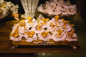 Fotografia: Roberto Hunger fotografia; – Espaço e Buffet: Pousada Cambuhy; – Banda: Juliana Campos; – Decoração: Decoração e Design Ana Belarmino e Rodrigo Dias; – Doces e palha italiana: Néia Rodrigues; – Músicos cerimonia: Alligare Eventos; – Cabelo: Beto Cabelereiro; – Make: Lu Azevedo Maquiadora; – Vestido: Atelier Rafael Garroni; – Assessoria e Cerimonial: Cerimonially Eventos.